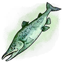 Mobile Old Smelly Fish Skin.png