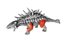 Ankylosaurus PaintRegion2.png