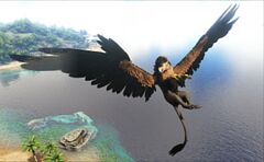 A Griffin flying over The Island