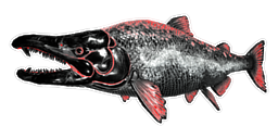 X-Sabertooth Salmon PaintRegion3.jpg