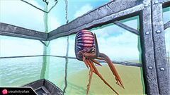 Chibi-Ammonite in game.jpg