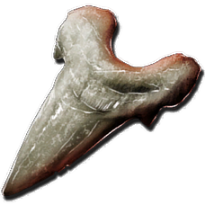 Golden Striped Megalodon Tooth.png