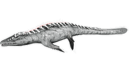X-Mosasaurus PaintRegion1.jpg