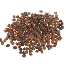 Spinach Seed (Primitive Plus).png