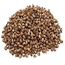 Tobacco Seed (Primitive Plus).png