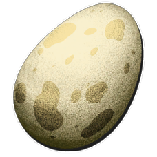 Dinosaur Eggs.png