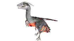 Microraptor PaintRegion5.png