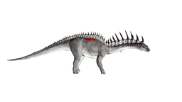 Amargasaurus PaintRegion5.png