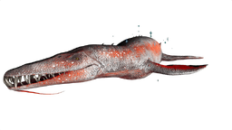 Liopleurodon PaintRegion0.png