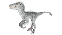 Alpha Raptor PaintRegion4.png