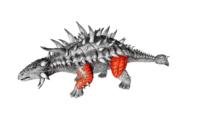 File:Ankylosaurus PaintRegion2.png
