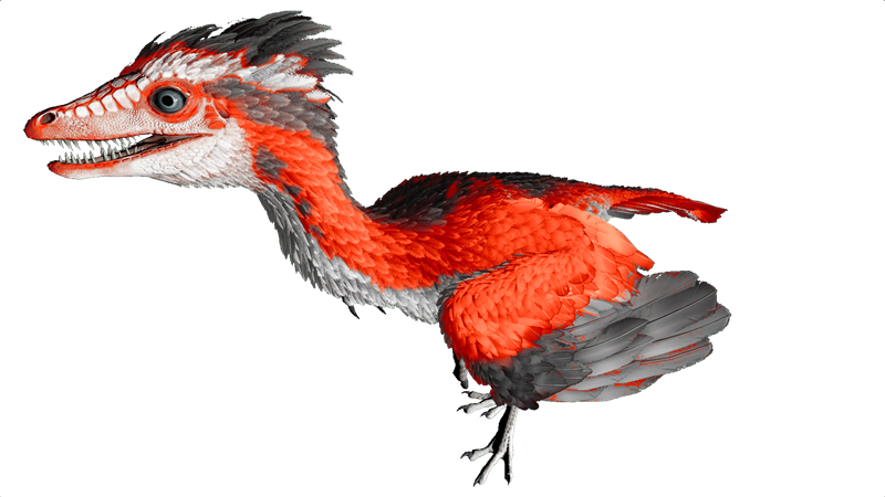 File:Archaeopteryx PaintRegion0.png