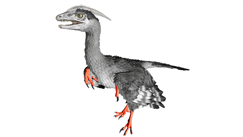 File:Microraptor PaintRegion2.png