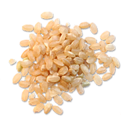 File:Dried Rice (Primitive Plus).png