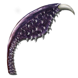 File:Tusoteuthis Tentacle.png