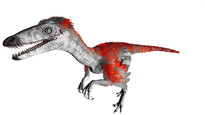 File:Troodon PaintRegion4.png