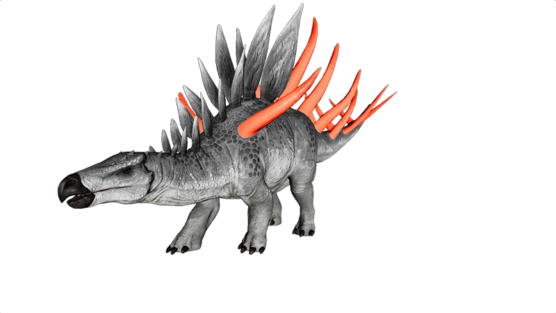 File:Kentrosaurus PaintRegion2.png