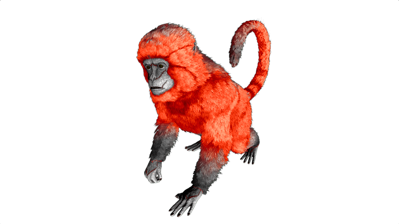 File:Mesopithecus PaintRegion0.png