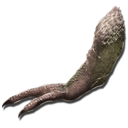 File:Tyrannosaurus Arm.png
