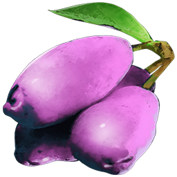File:Magenberry.png