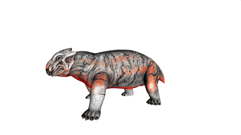 File:Lystrosaurus PaintRegion4.png