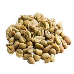 File:Coffee Seed (Primitive Plus).png