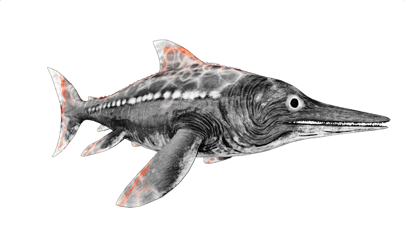 File:X-Ichthyosaurus PaintRegion1.png