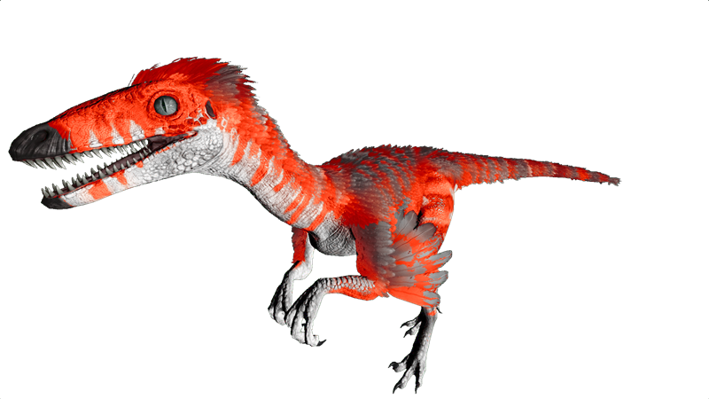 File:Troodon PaintRegion0.png