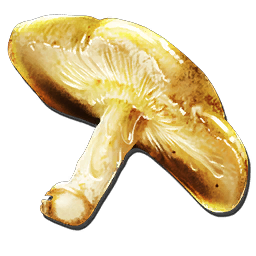 File:Auric Mushroom.png