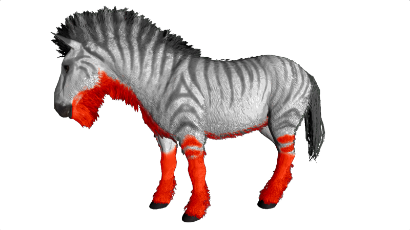 File:Equus PaintRegion5.png