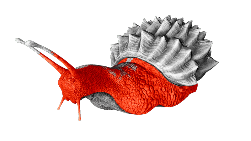 File:Achatina PaintRegion0.png