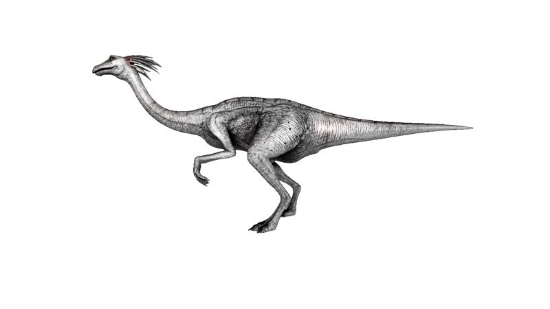 File:Gallimimus PaintRegion3.png