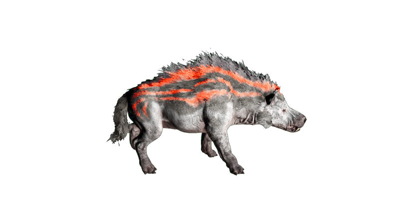 File:Andrewsarchus PaintRegion2.png