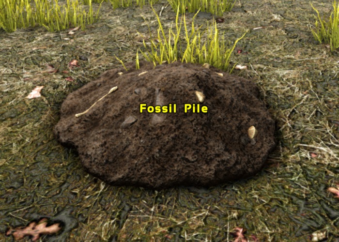 File:Fossil Pile.jpg