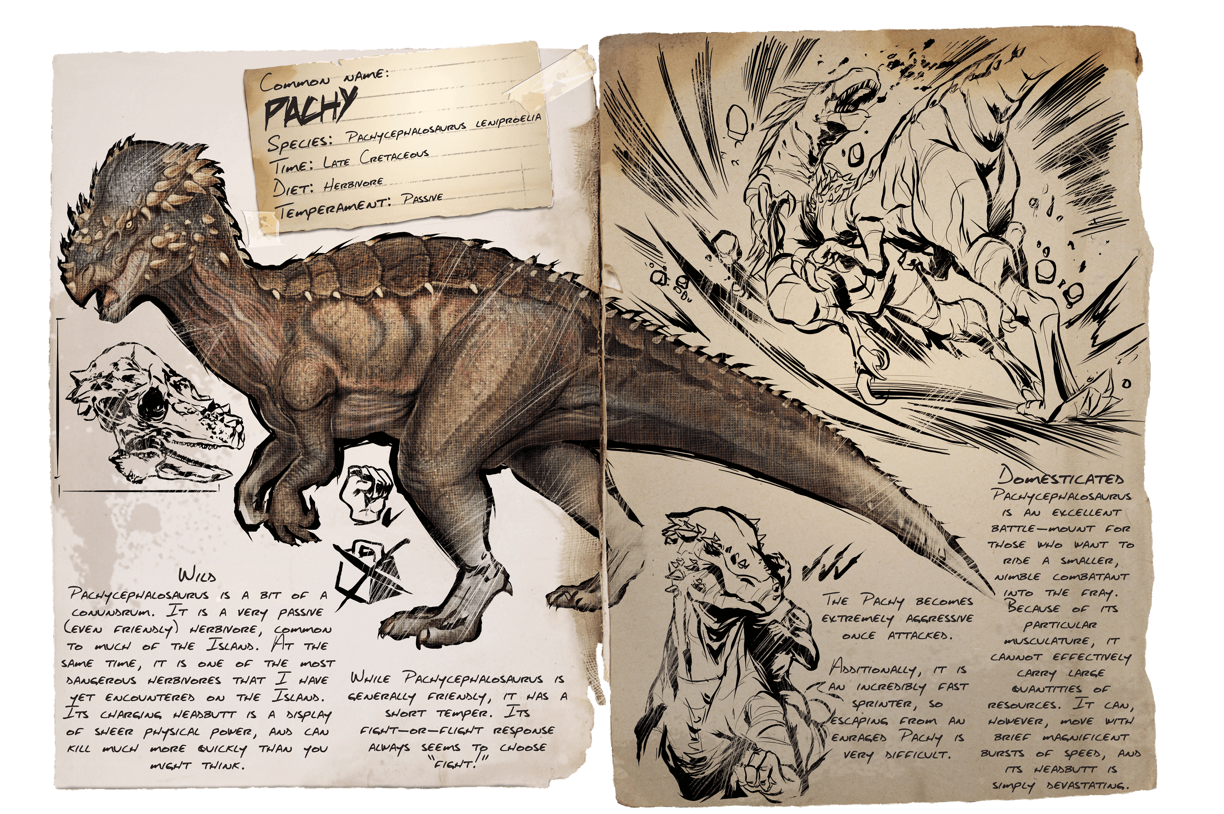 Ark заметки. АРК динозавр Пахицефалозавр. АРК сурвайвал динозавры. АРК досье. АРК сурвайвал ЭВОЛВ динозавры книга.