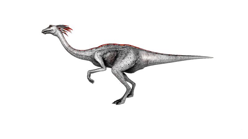 File:Gallimimus PaintRegion4.png