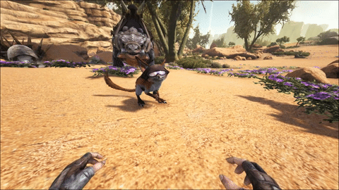 Jerboa Electrical Storm.gif