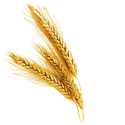 File:Fresh Wheat (Primitive Plus).png