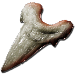 File:Golden Striped Megalodon Tooth.png