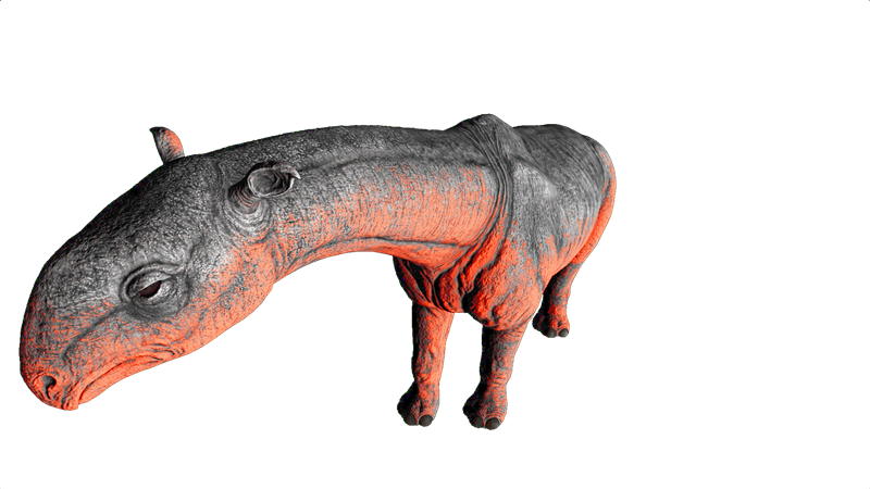 File:Paraceratherium PaintRegion5.png
