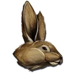 File:Procoptodon Bunny Costume.png