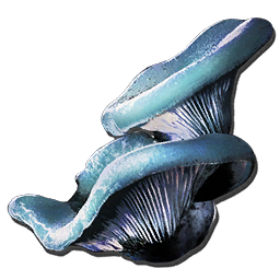 File:Aquatic Mushroom.png