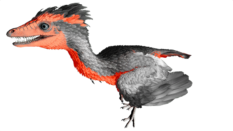 File:Archaeopteryx PaintRegion5.png