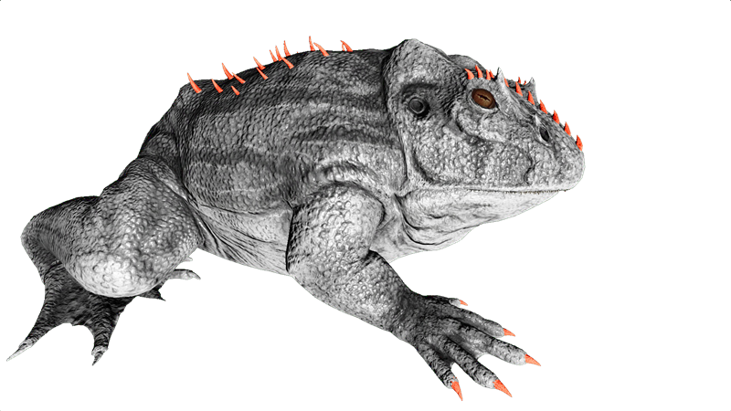 File:Beelzebufo PaintRegion1.png