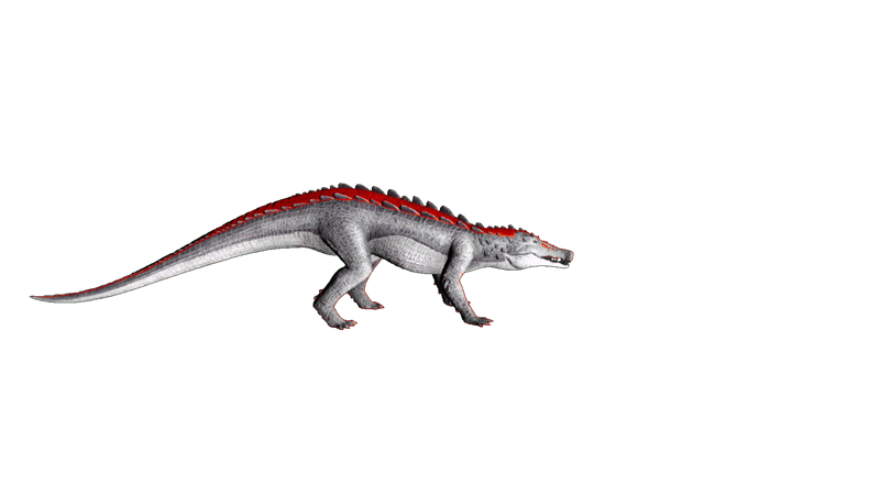 File:Kaprosuchus PaintRegion4.png