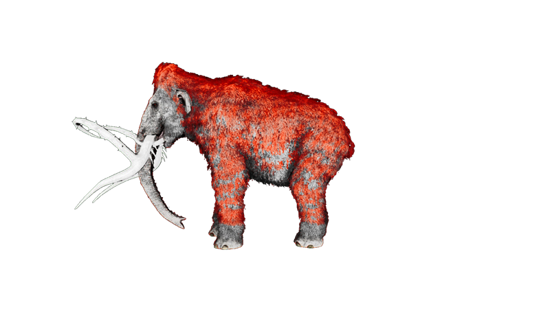File:Mammoth PaintRegion4.png