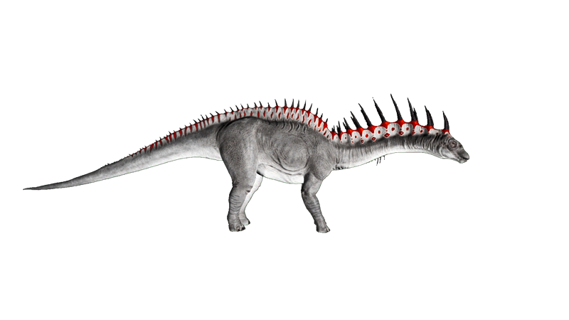 File:Amargasaurus PaintRegion1.png