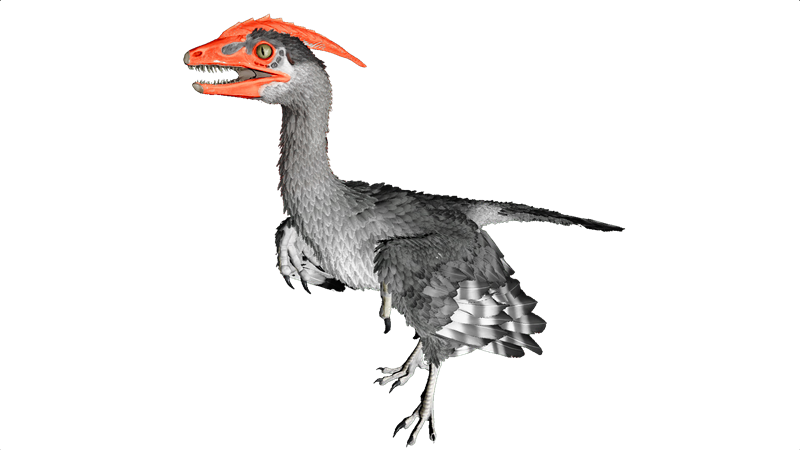 File:Microraptor PaintRegion1.png