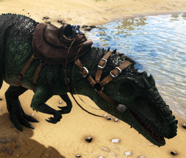File:Saddled Giganotosaurus.png
