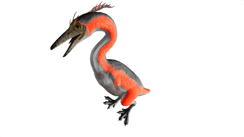 File:Hesperornis PaintRegion0.png